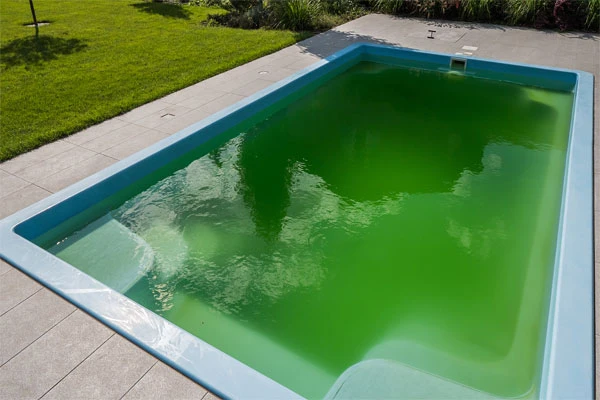 the-lack-of-pool-chemicals-caused-the-turbidity-of-the-pool the-lack-of-pool-chemicals-caused-the-turbidity-of-the-pool